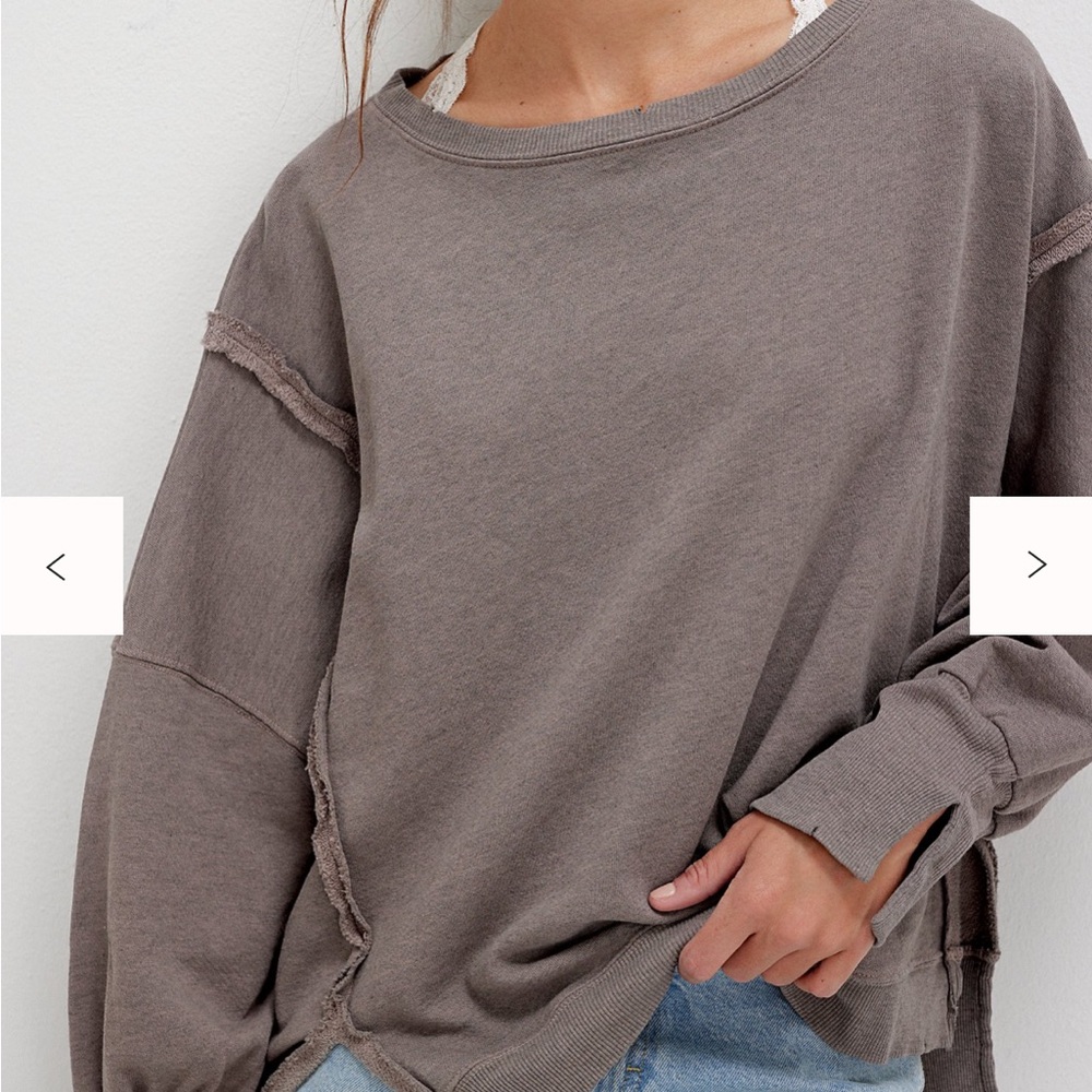 We The Free Oversized Crewneck Sweater in Taupe Brown